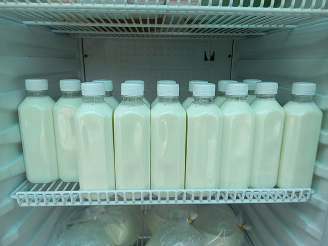 Bảo quản sữa trong tủ mát 
