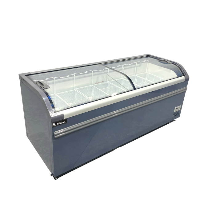 Tủ đông nằm 2 cánh 700l dài 2m