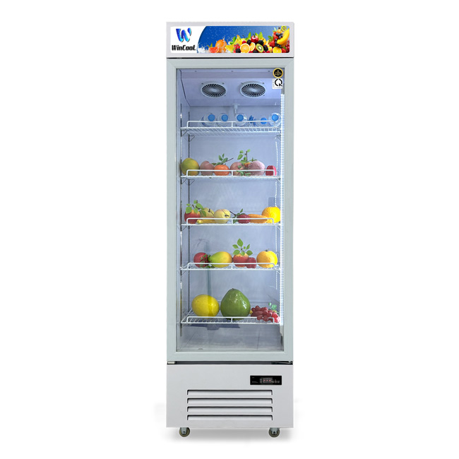 Tủ mát 1 cánh 338L