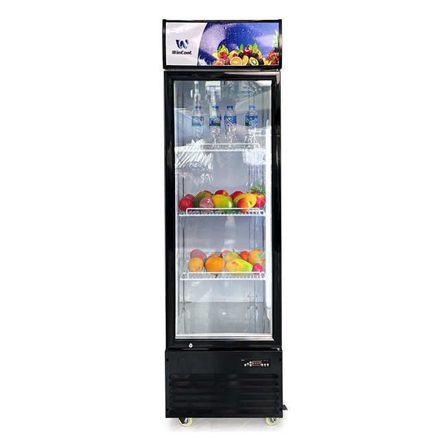 Tủ mát 1 cánh W-HR-360W 357L