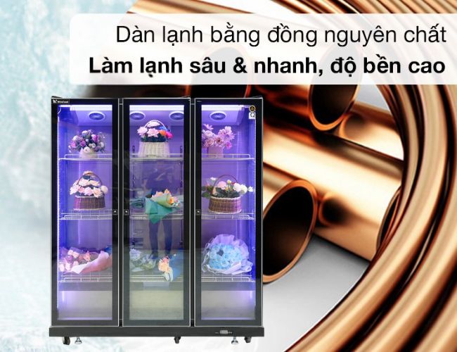 L&agrave;m lạnh bền bỉ